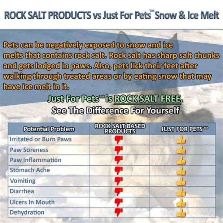 Is Prestone Salt Safe For Dogs