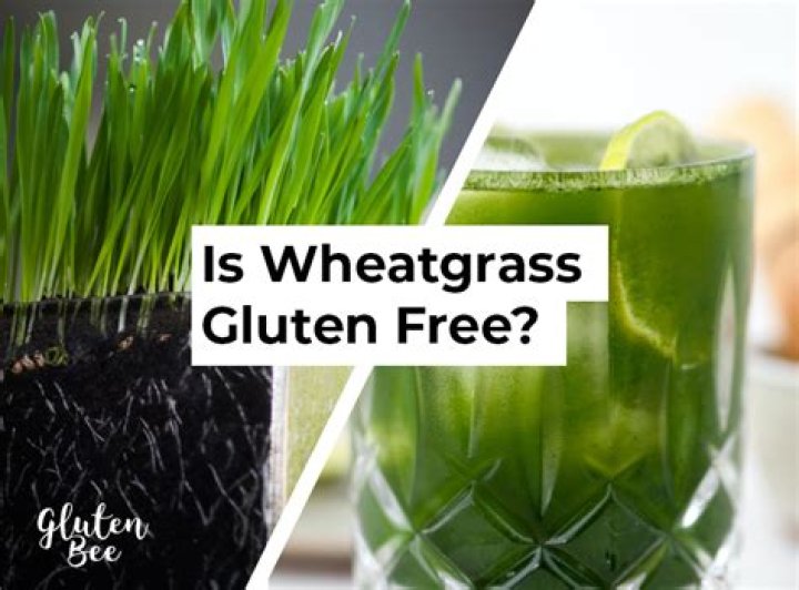 Is wheatgrass gluten free - How To Discuss