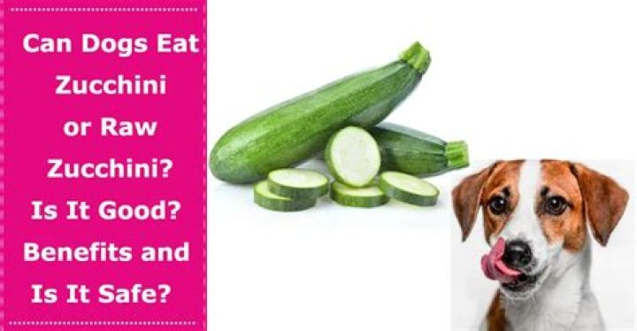 Is Zucchini Good For Dogs To Eat