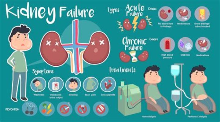 Kidney Failure, Symptoms, Complications and Preventions