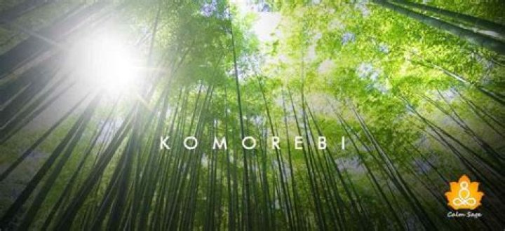 Komorebi - How To Discuss
