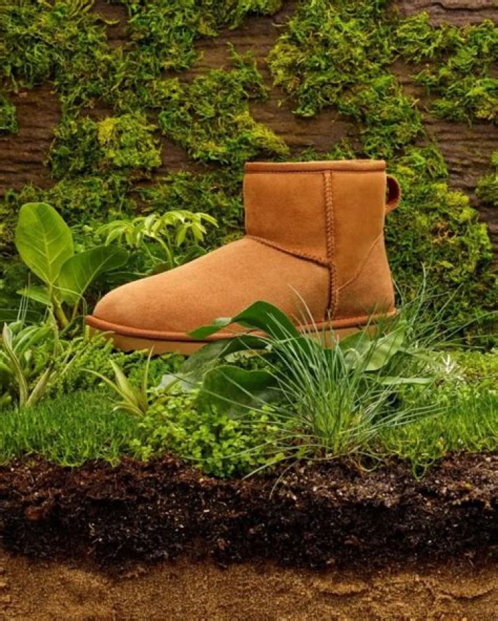 Koolaburra Vs Ugg - How To Discuss