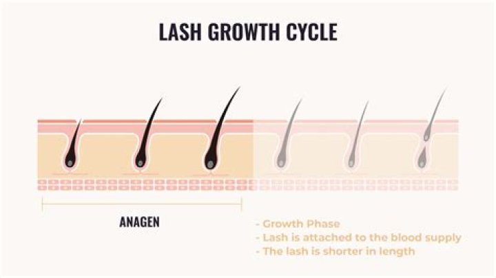 Lash growth - How To Discuss