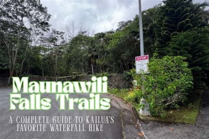 Maunawili falls trail - How To Discuss