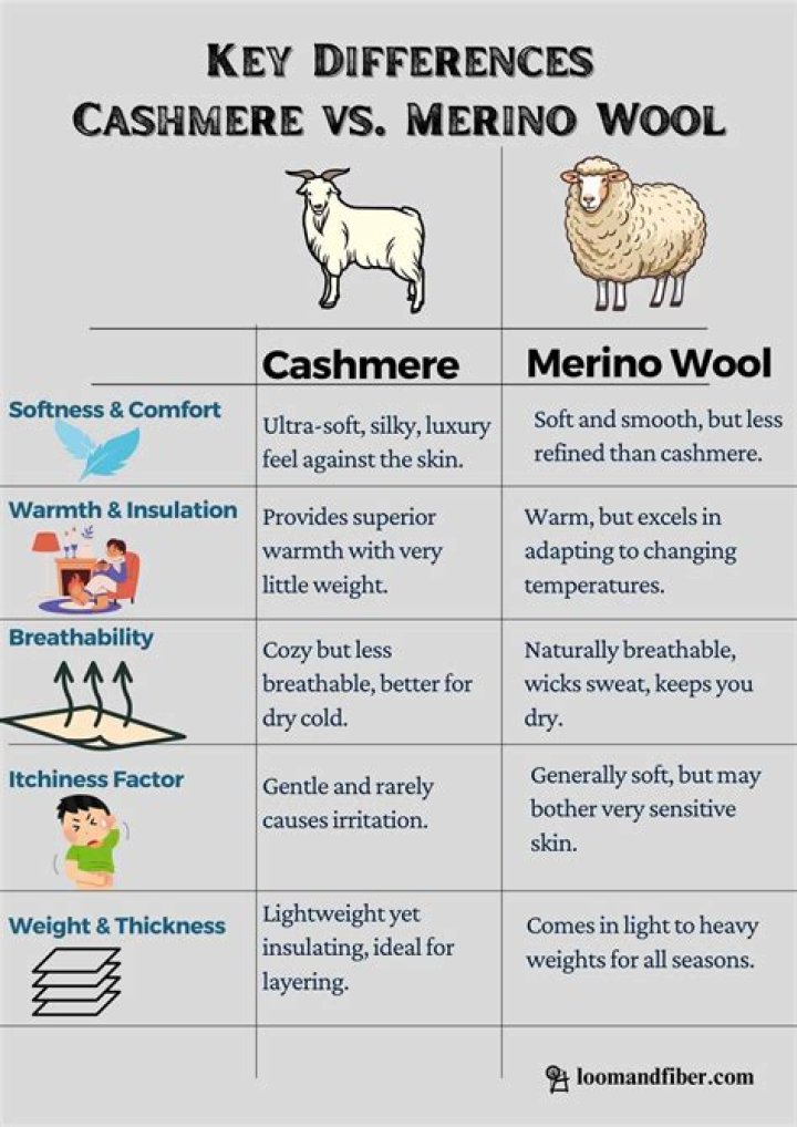 Merino Vs Cashmere Warmth - How To Discuss