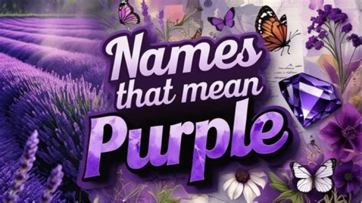Names That Mean Purple - How To Discuss
