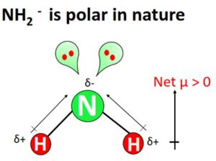 Nh2 Polar Or Nonpolar - How To Discuss