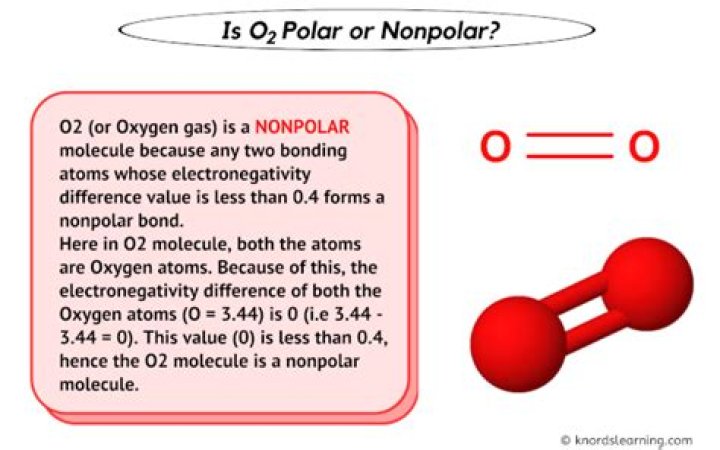 O2 Polar Or Nonpolar - How To Discuss