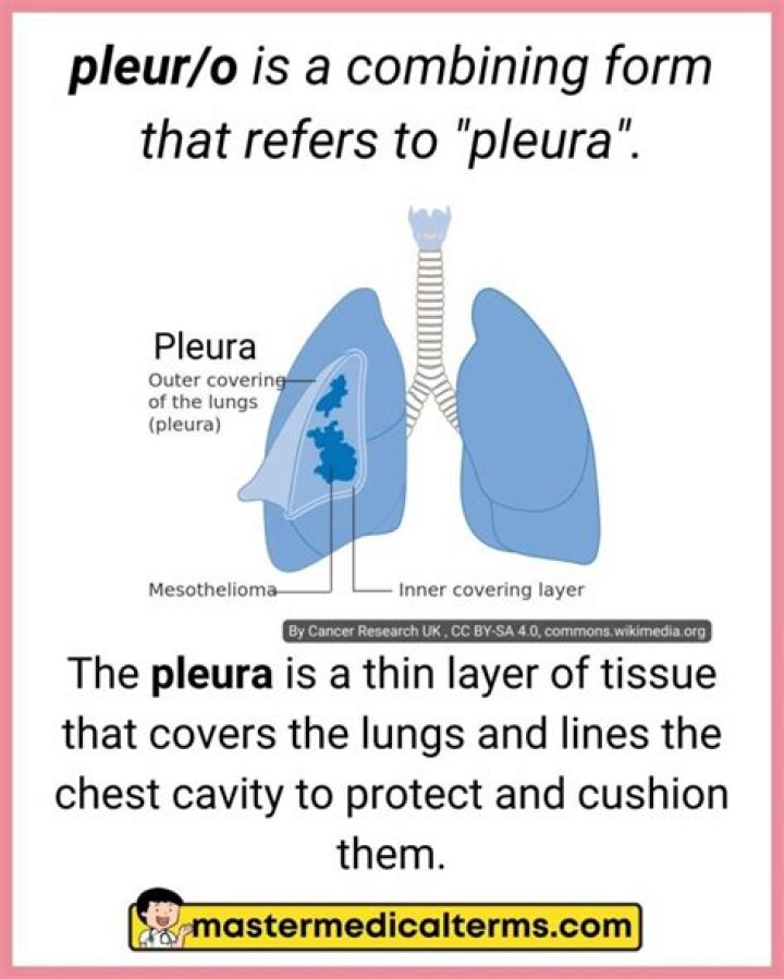 Pleur O Medical Term - How To Discuss