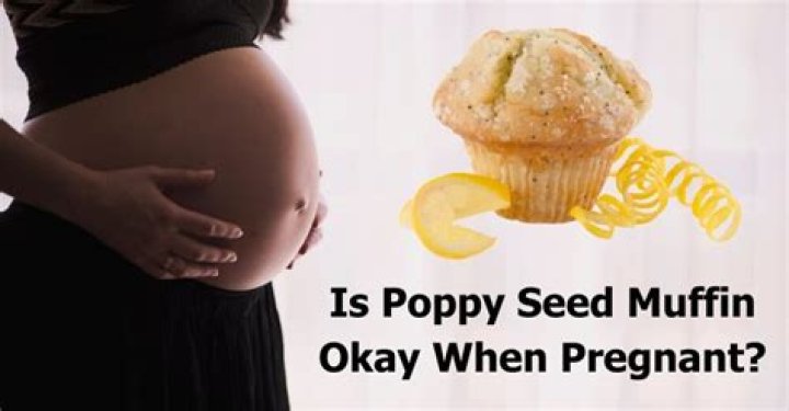 Poppy Seed Muffin Okay When Pregnant