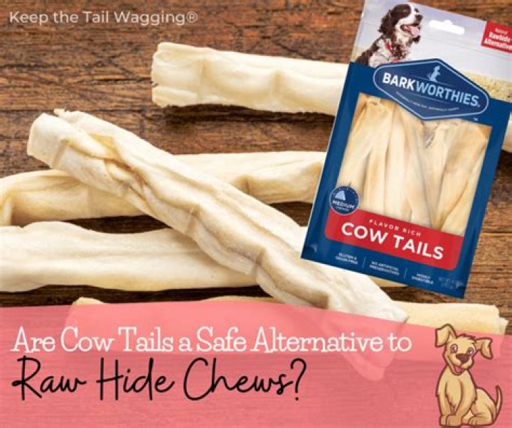 Question: Are Beef Tails Safe For Dogs