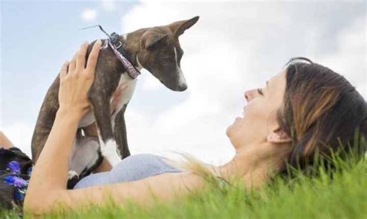 Question: Are Coral Bells Toxic To Dogs