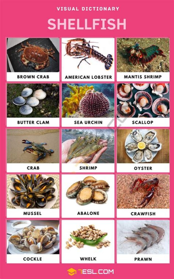 Question: Are Shellfish Considered Fish