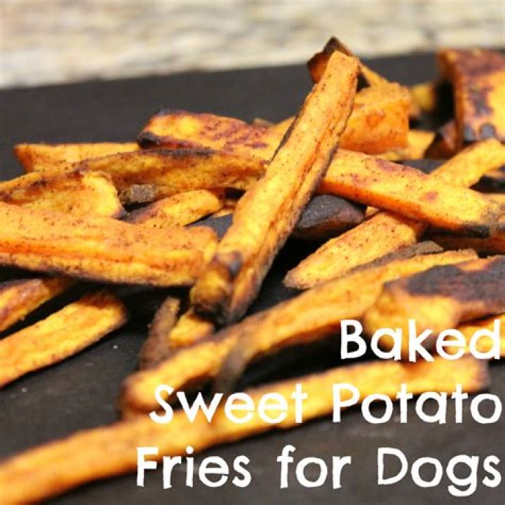 Question: Are Sweet Potato Fries Bad For Dogs