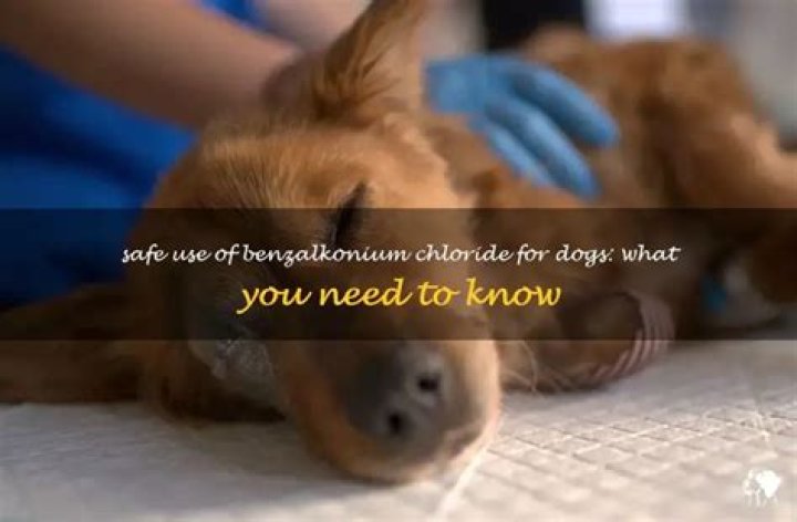 Question: Can Benzalkonium Chloride Be Used On Cats And Dogs