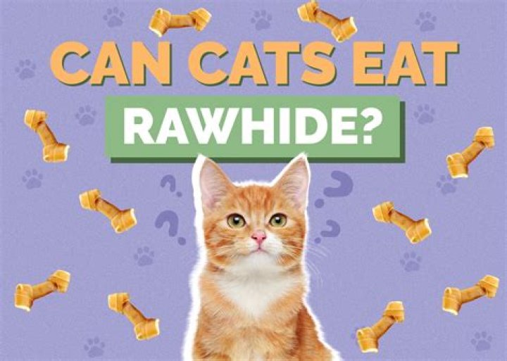 Question: Can Cats Eat Rawhide Dog Bones
