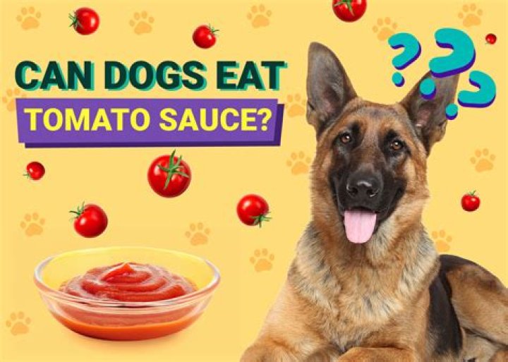 Question: Can Dogs And Cats Eat Tomato Sauce