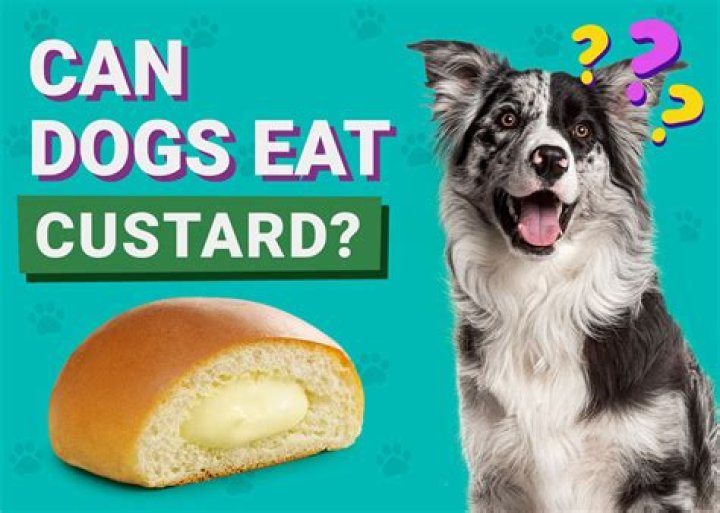 Question: Can Dogs Eat Custard