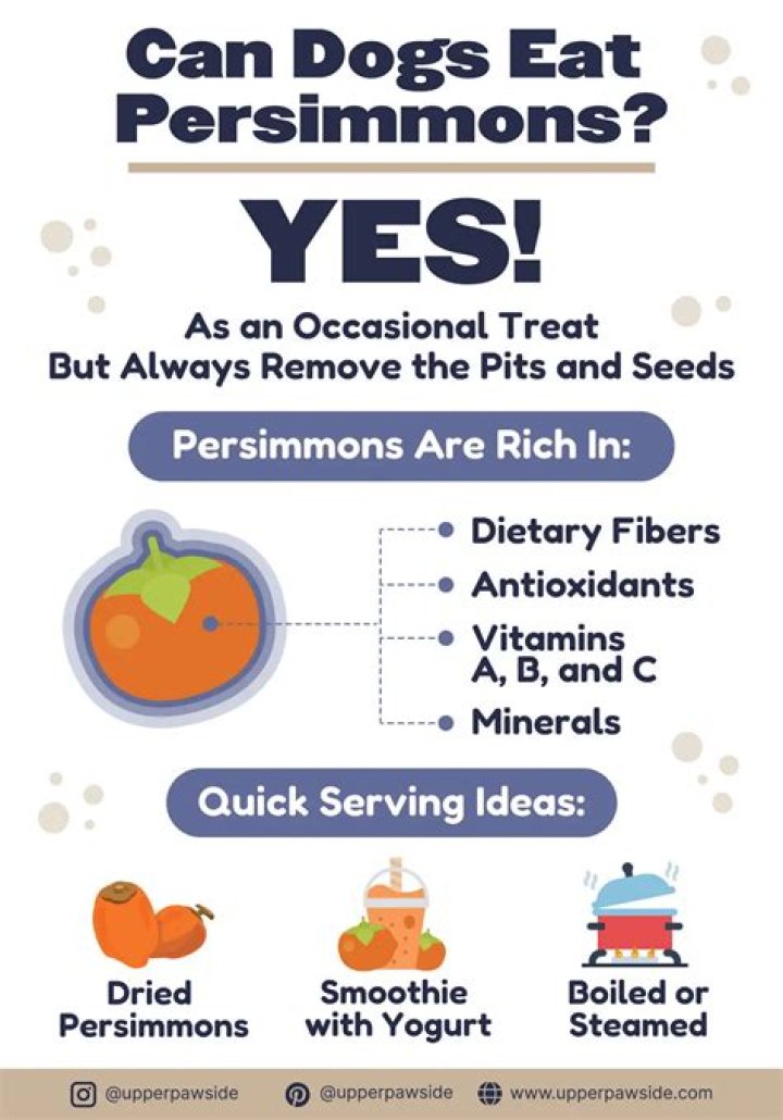 Question: Can Dogs Have Persimmons