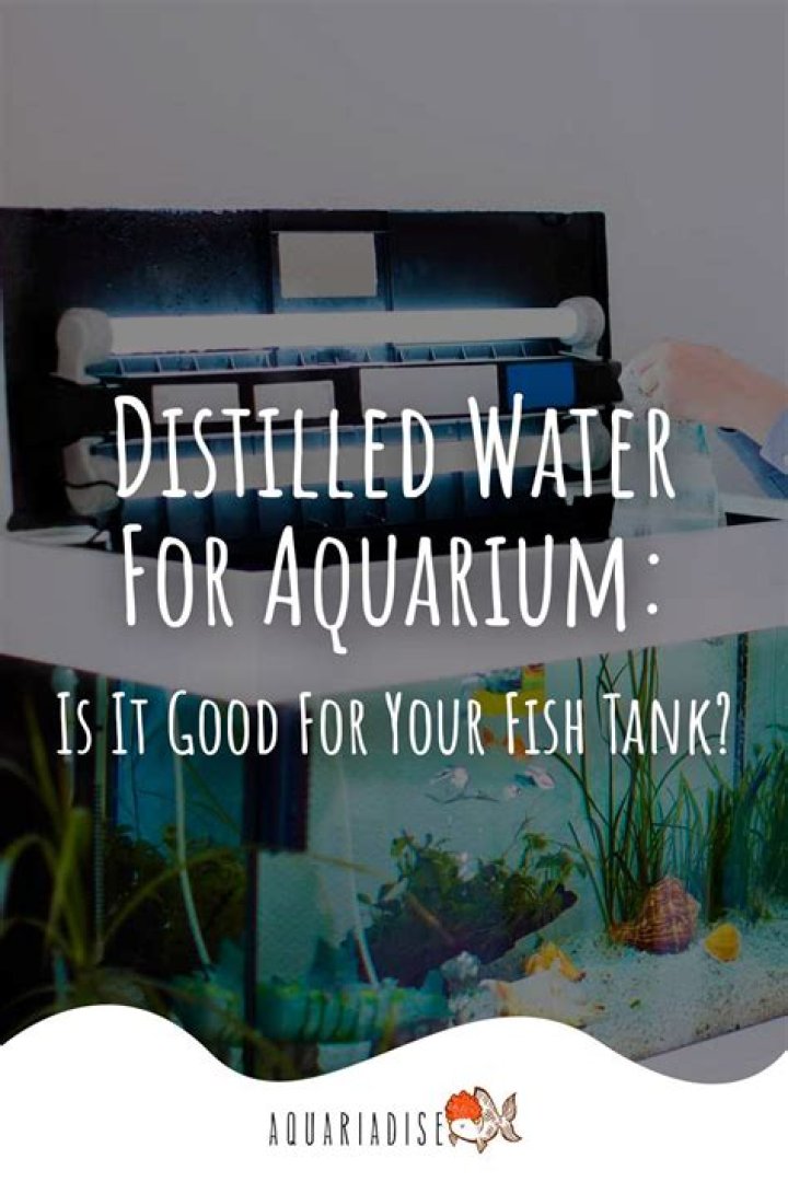 Question: Can I Add Distilled Water To My Fish Tank