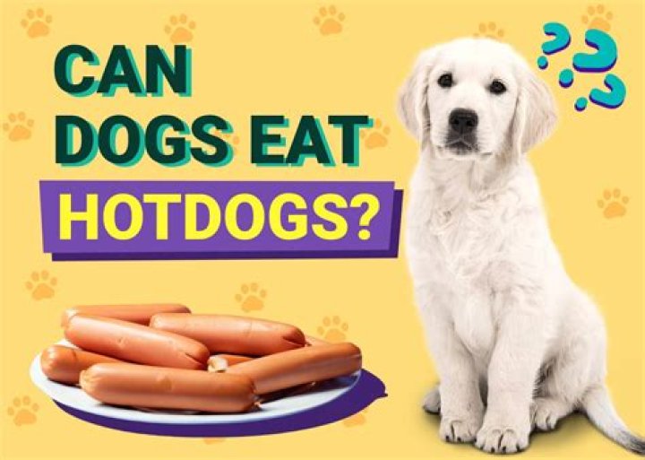 Question: Can I Eat Hot Dogs Left Out Overnight