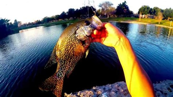 Question: Can I Fish At Legg Lake At Night