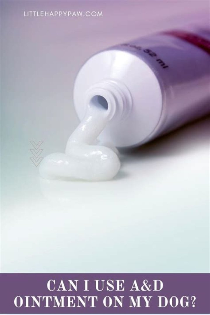 Question: Can I Use A&D Ointment On My Dogs Rash