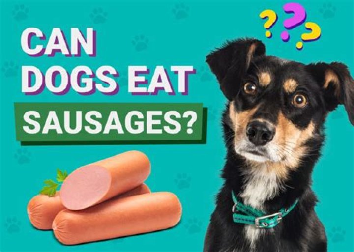 Question: Can My Dog Eat Sausage