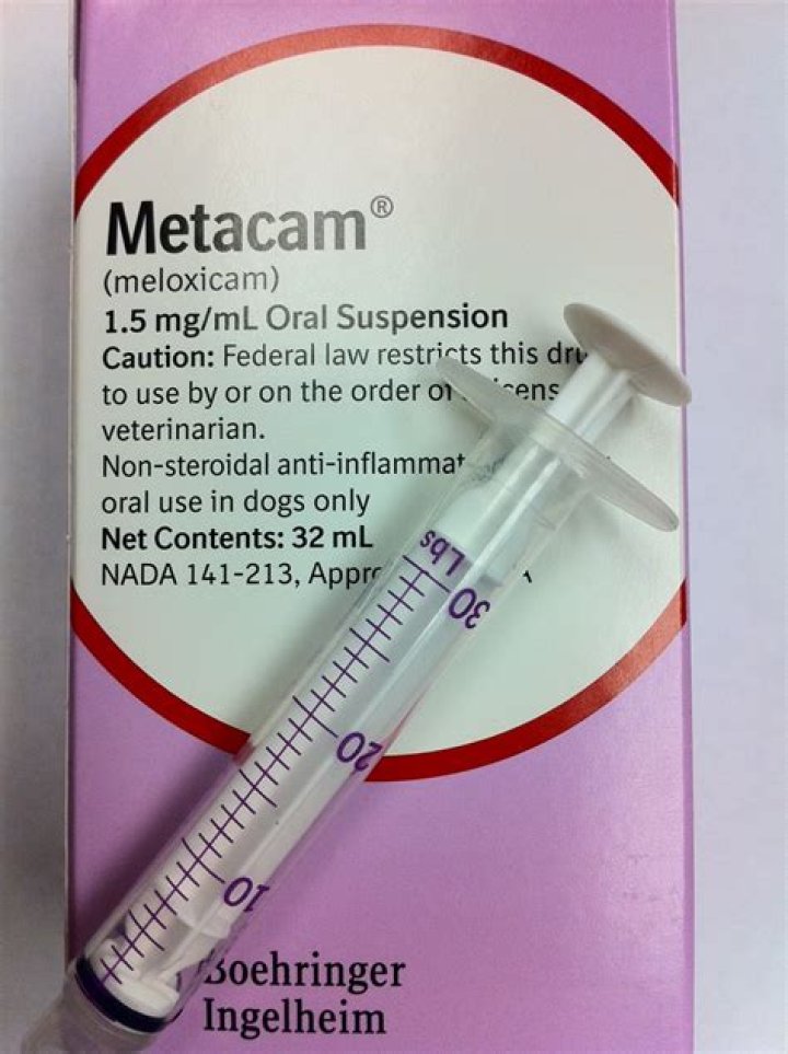 Question: Can You Give A Dog Outdated Meloxicam