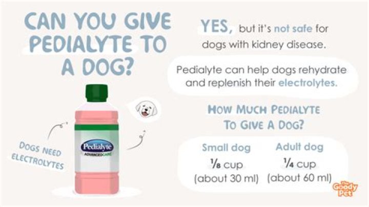 Question: Can You Give Little Dogs Pedialyte