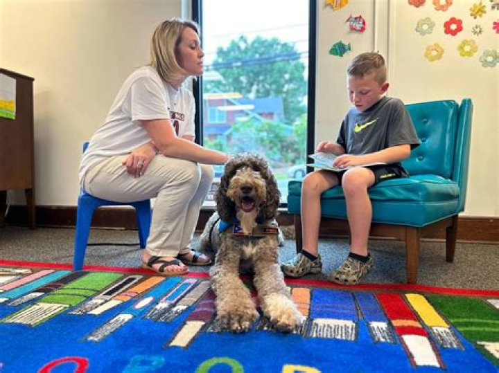 Question: Can You Make Money From Therapy Dogs