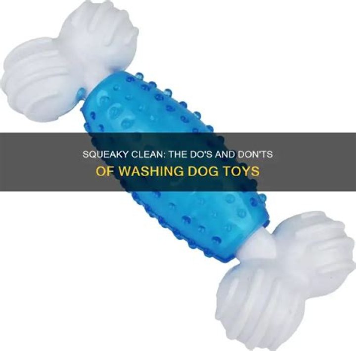 Question: Can You Wash Dog Toys With Squeakers