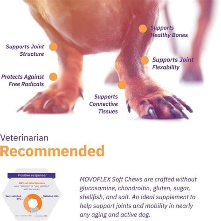 Question: Does Anything Happen When A Dog Stops Taking Movoflex Pills