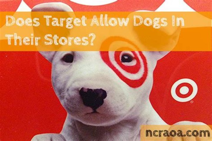 Question: Does Target Allow Dogs Inside