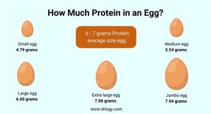 Question: How Many Grams Of Protein In 4 Eggs