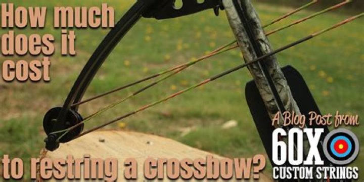 Question: How Much Does Crossbow Repair Cost