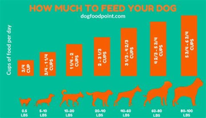 Question: How Much Food Should My 25 Lb Dog Eat