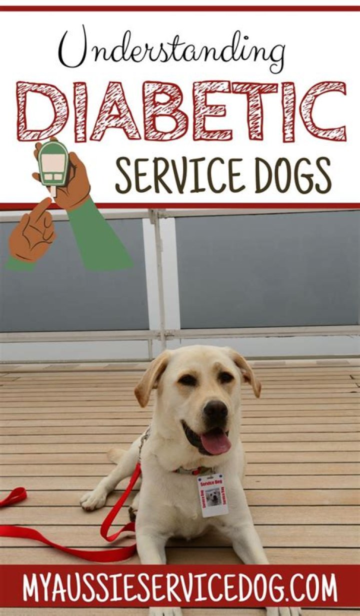 Question: How Much For A Diabetic Service Dog