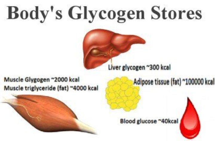 Question: How Much Glycogen Can The Body Store