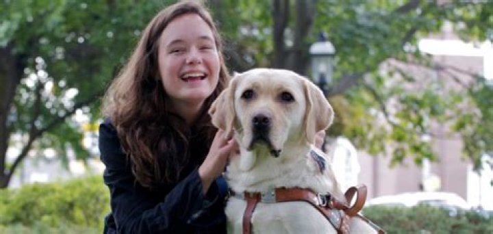 Question: How Much Is A Seeing Eye Dog