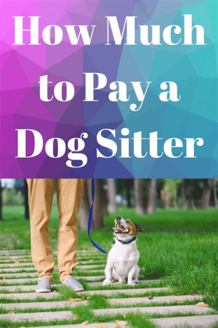 Question: How Much To Pay A Dog Sitter Overnight