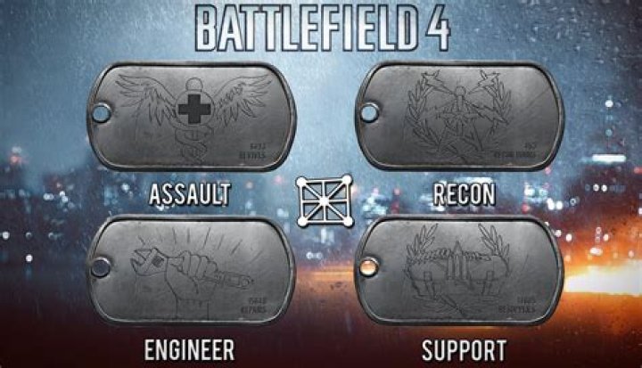 Question: How To Make Custom Dog Tags Bf4