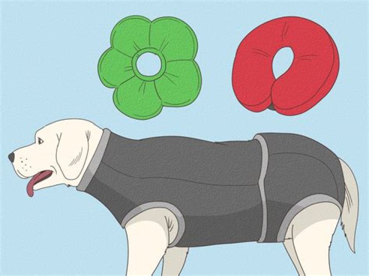 Question: How To Make Dog Battle Hl2