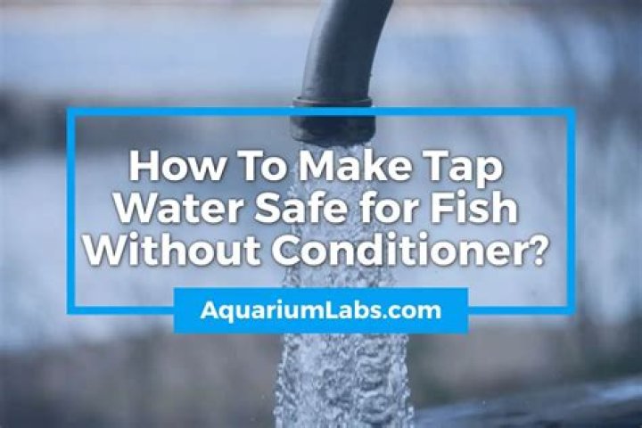 Question: How To Make Tap Water Safe For Fish Without Conditioner