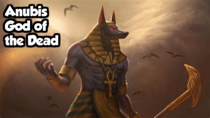 Question: Is Anubis A Dog Or A Cat