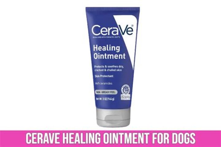 Question: Is Cerave Safe For Dogs