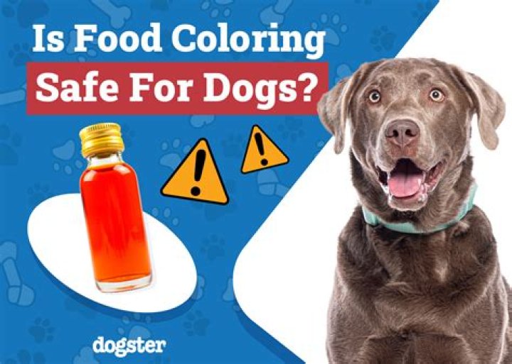 Question: Is Food Coloring Safe For Dogs