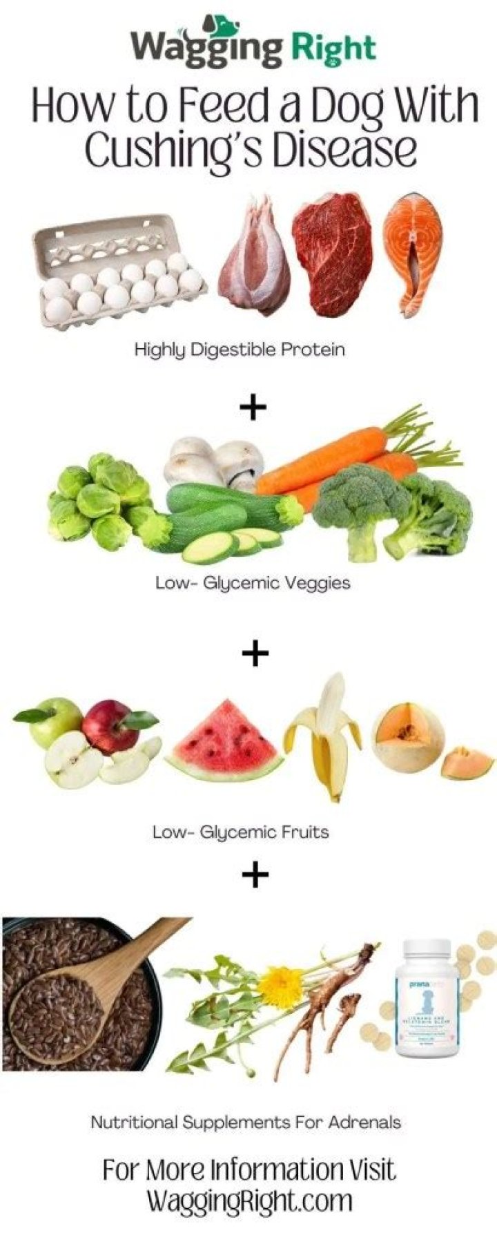 Question: Is It Safe To Feed A Dog Pot Roast