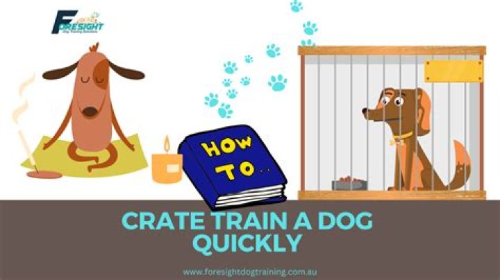 Question: Is It Too Late To Crate Train A Dog