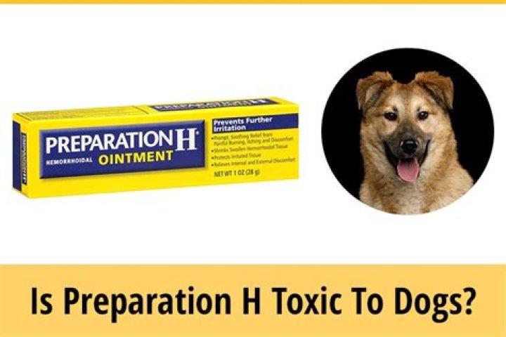 Question: Is Preparation H Toxic To Dogs